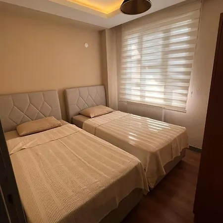 Ertu's Home